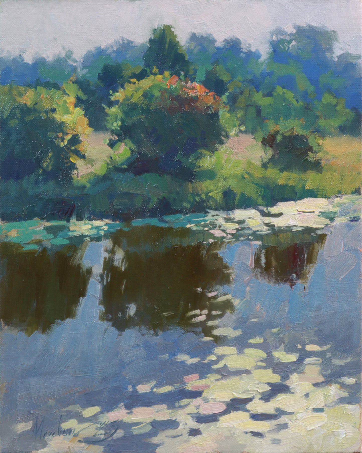 Lily pads