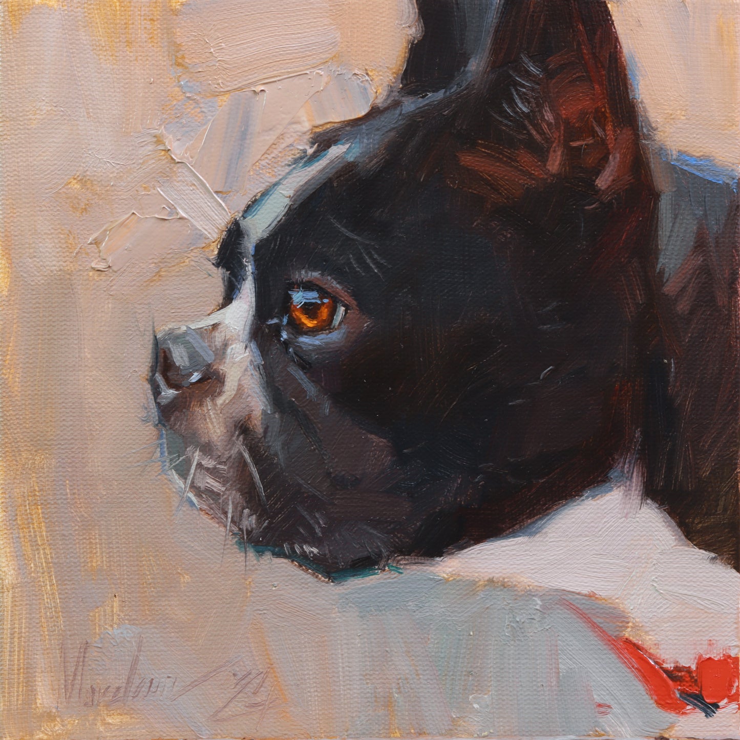 French Bulldog