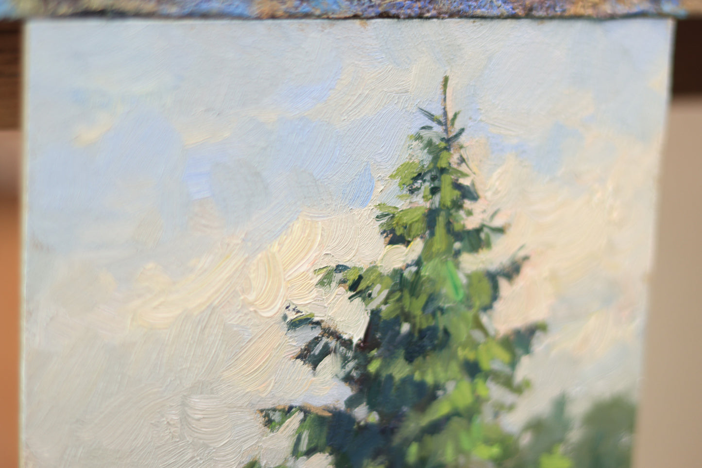 Lonely spruce