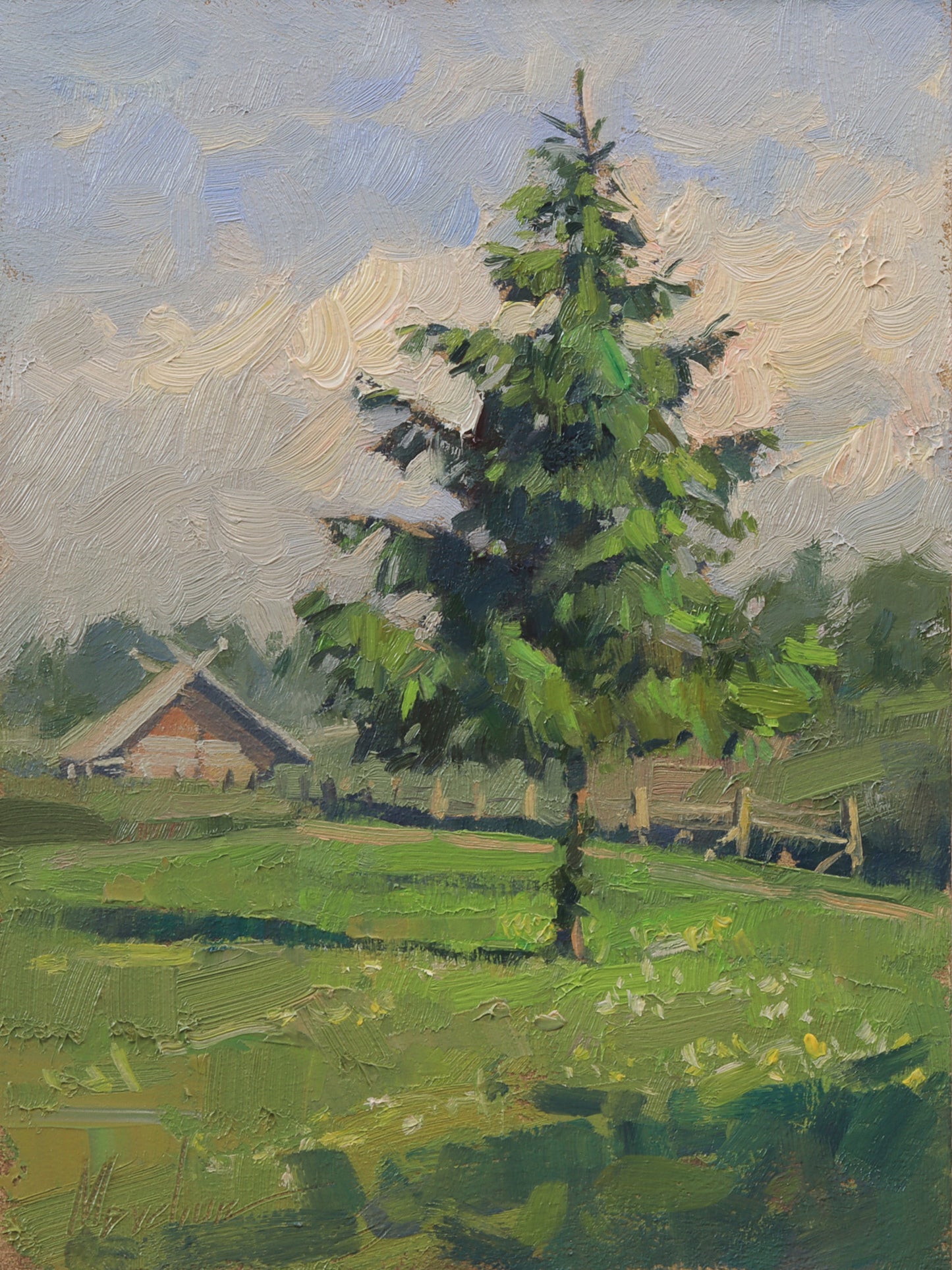 Lonely spruce