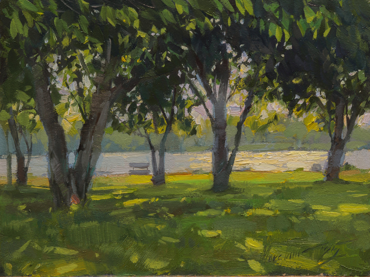 In the Shade