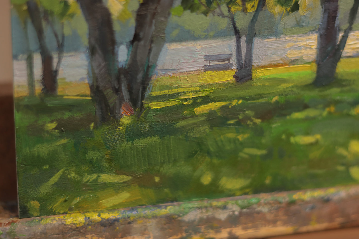 In the Shade