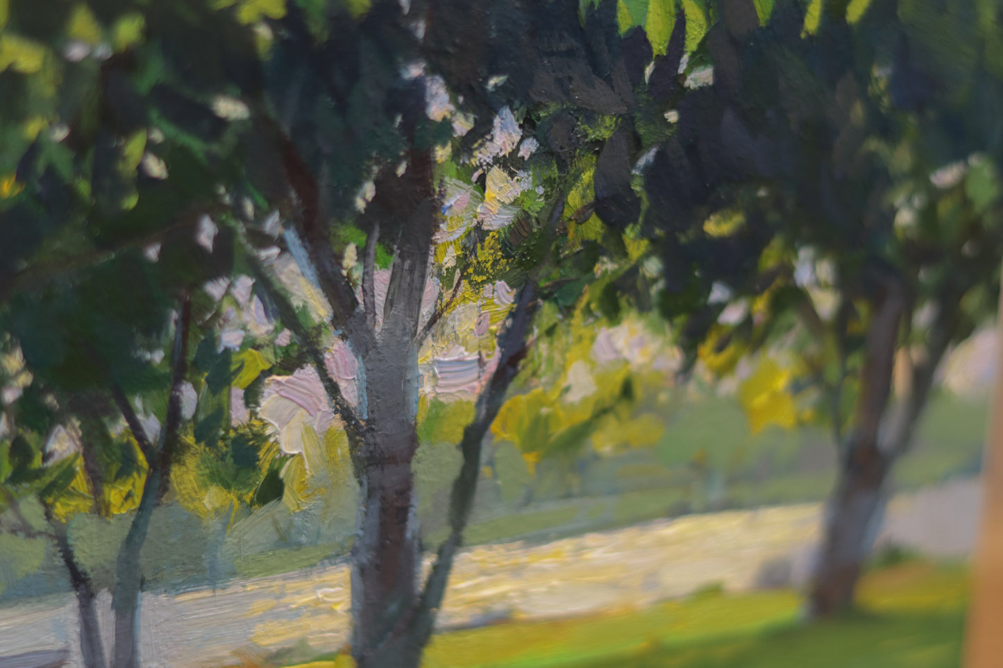 In the Shade