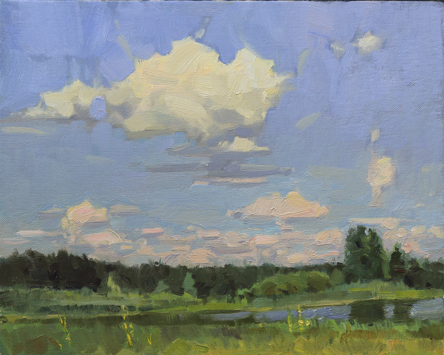 Sunny Clouds