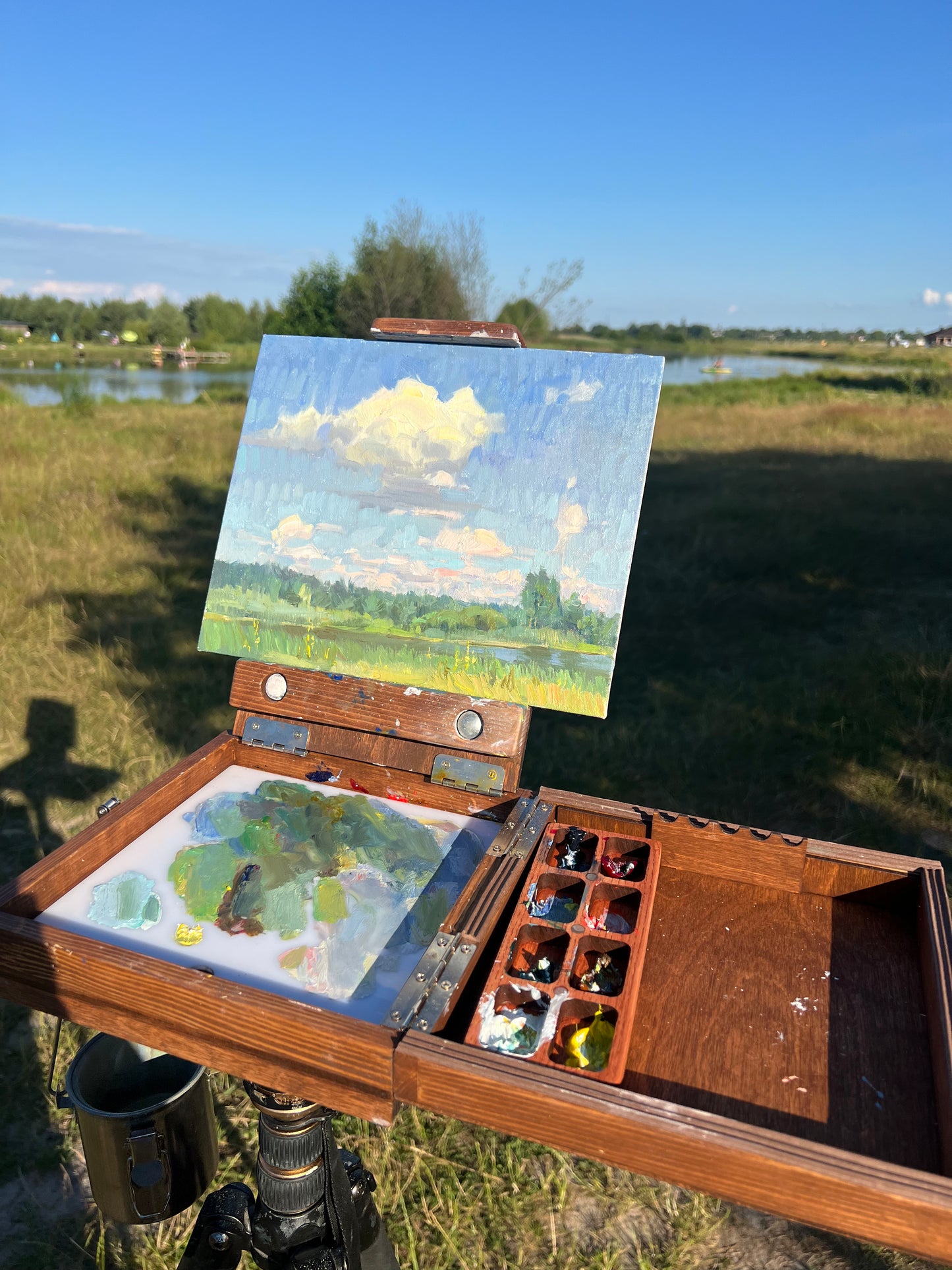 Sunny Clouds