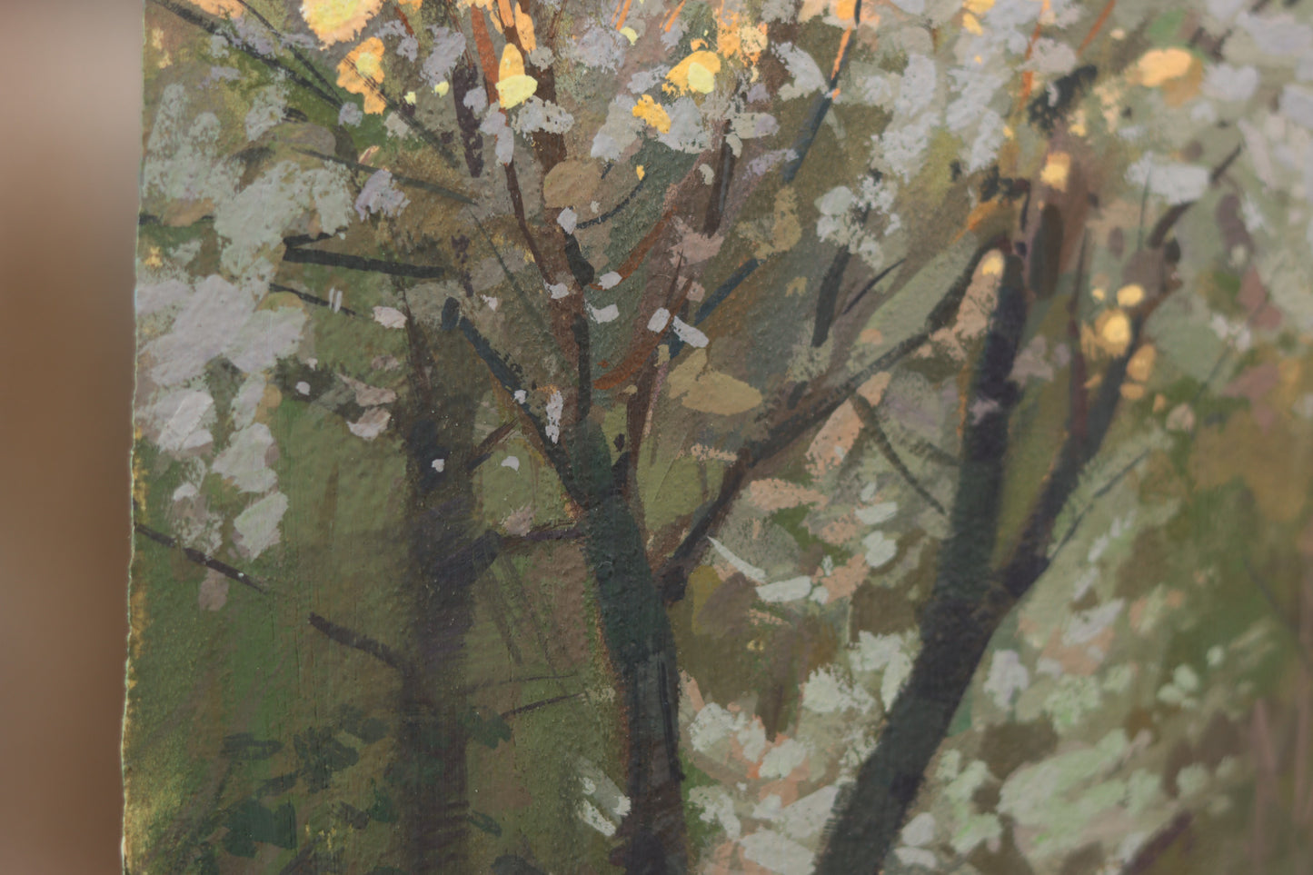 Gouache plein air painting of a blooming tree in spring