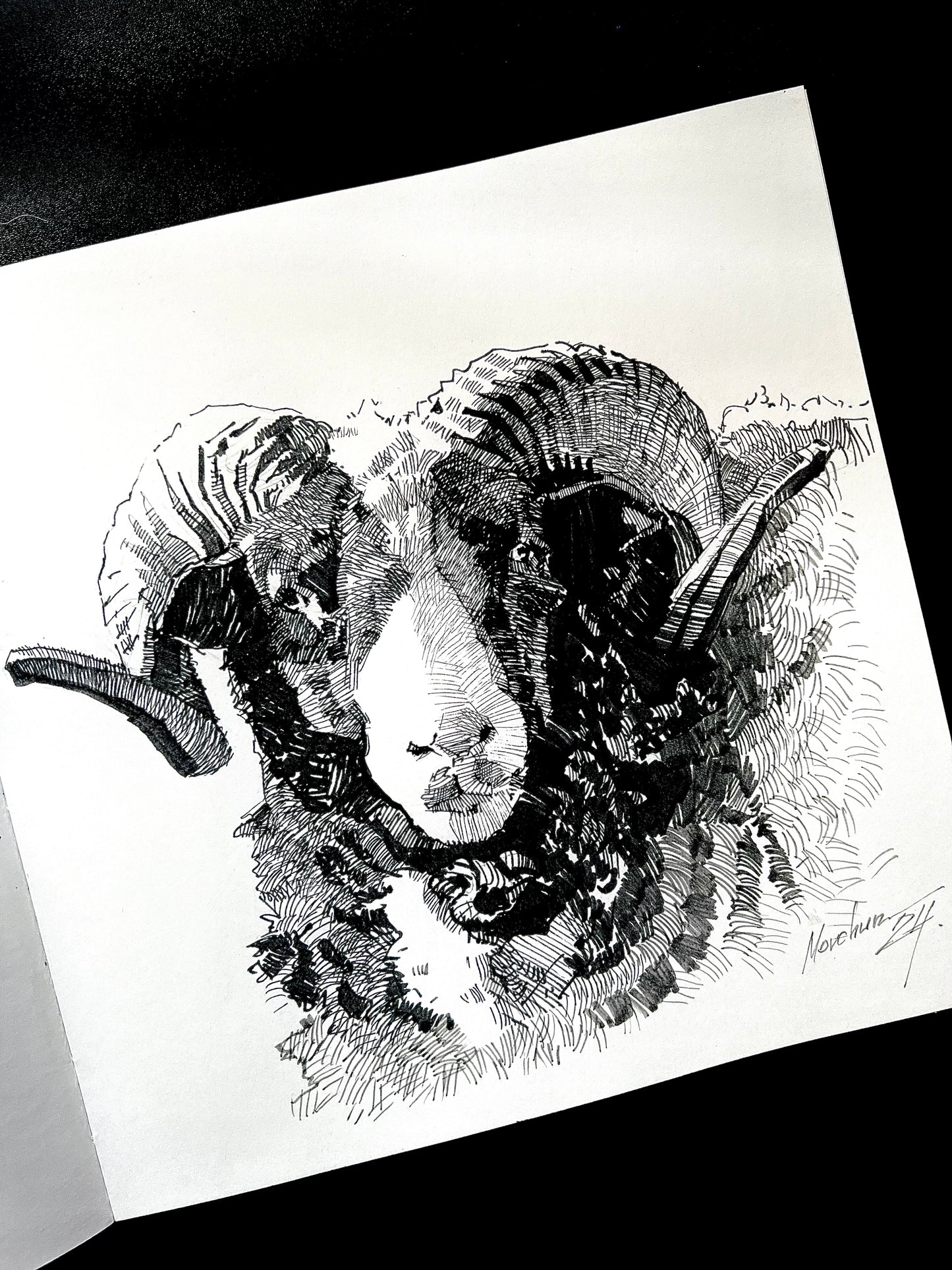 Custom ink drawing of a pet – detailed black-and-white portrait illustration
