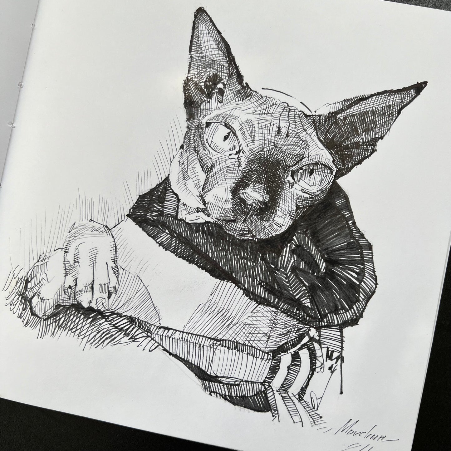 Custom ink drawing of a pet – detailed black-and-white portrait illustration