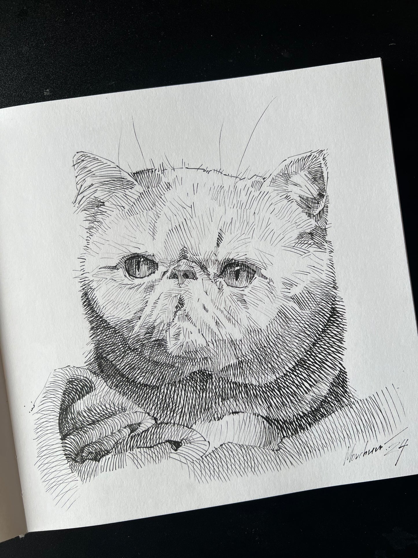 Custom ink drawing of a pet – detailed black-and-white portrait illustration