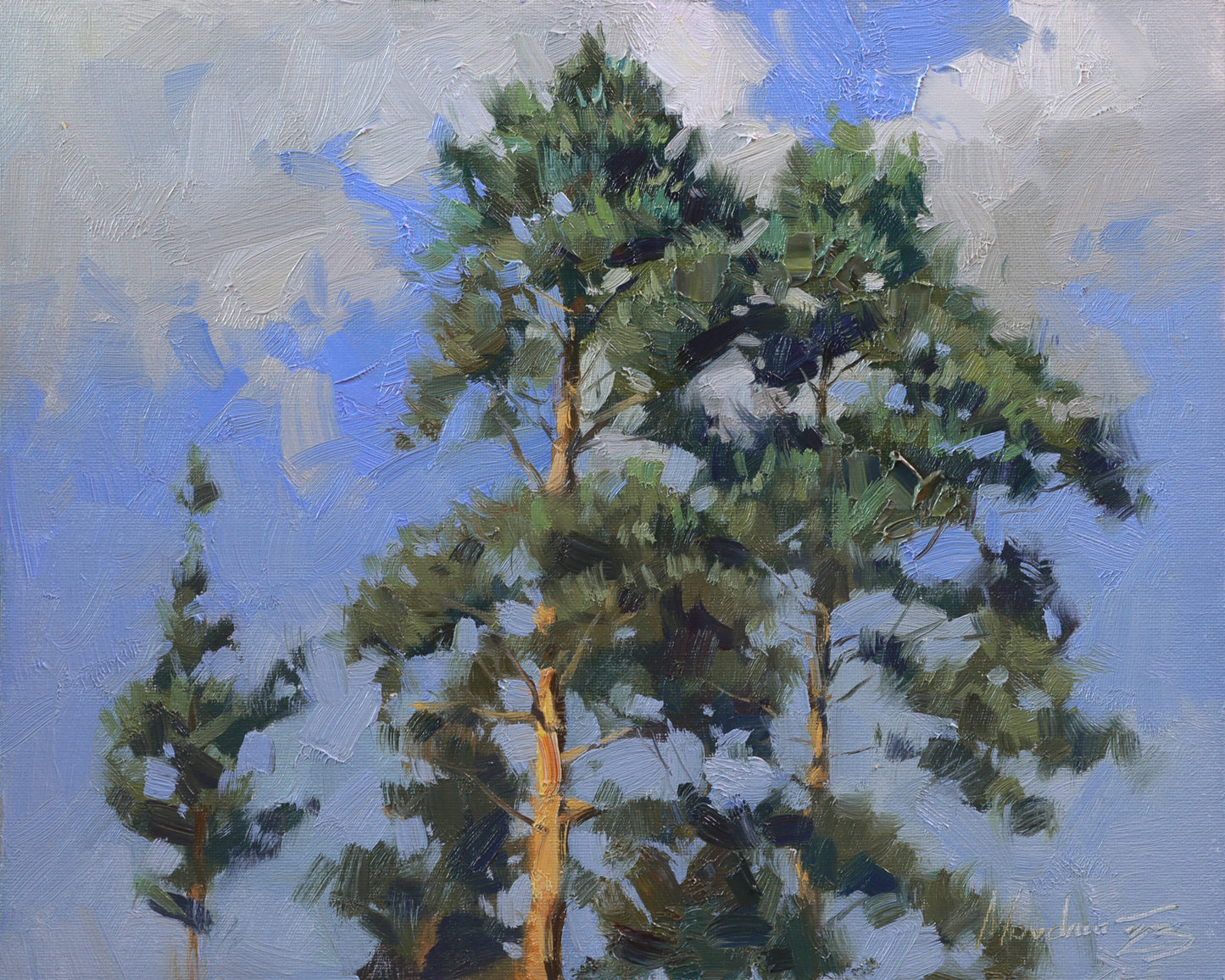 Plein air oil painting of pine tree tops in summer light