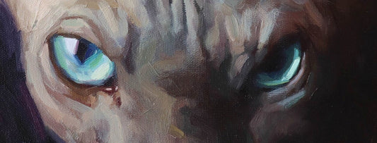 Sphynx Cat Portrait – A One-of-a-Kind Hairless Beauty