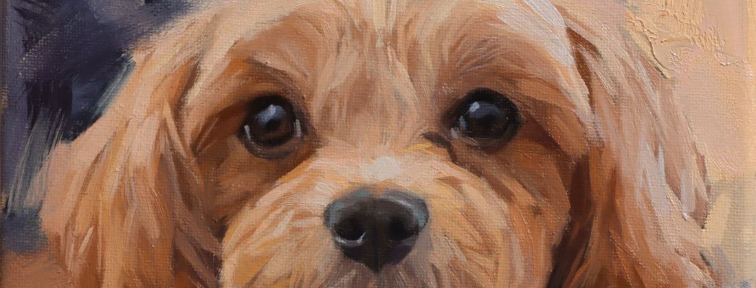 Why I Don’t Aim for Photorealism in Pet Portraits