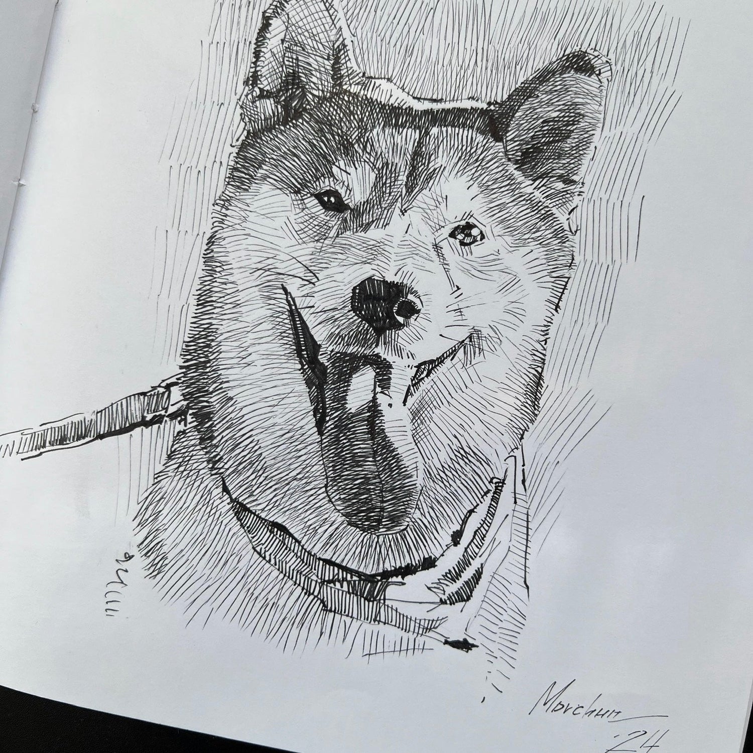 Drawings