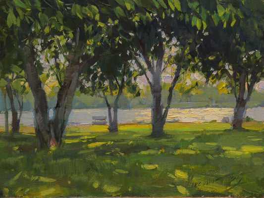In the Shade