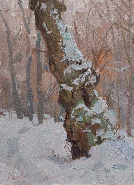 The Portrait of Old Tree