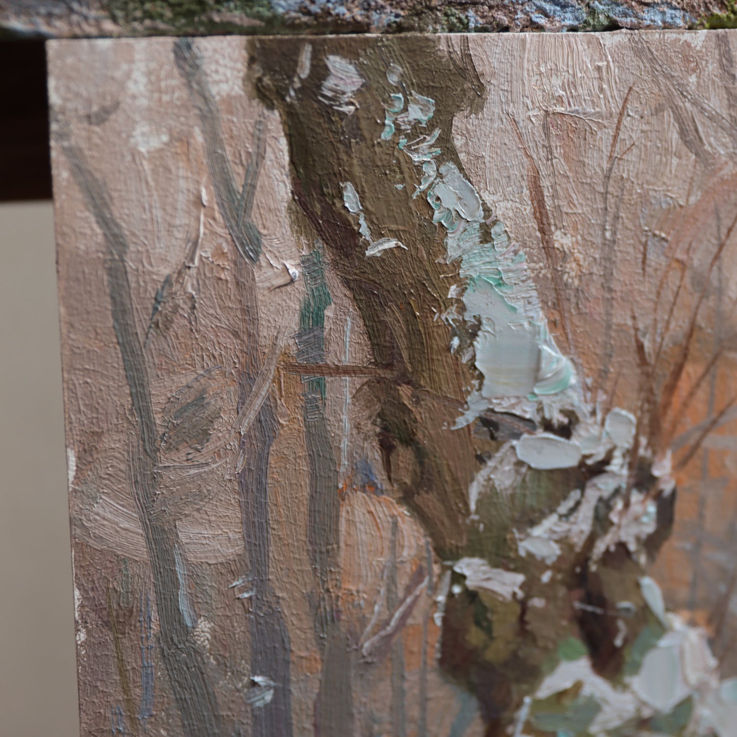 The Portrait of Old Tree