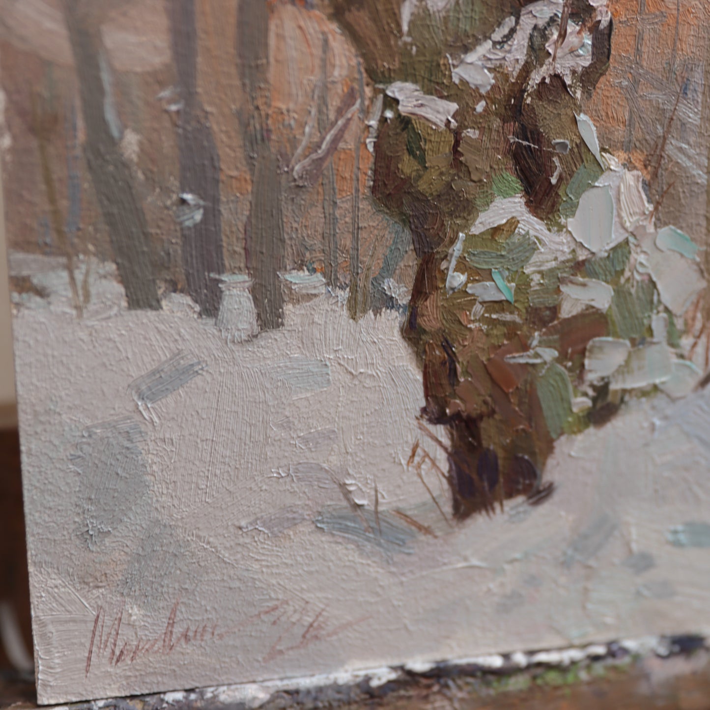 The Portrait of Old Tree