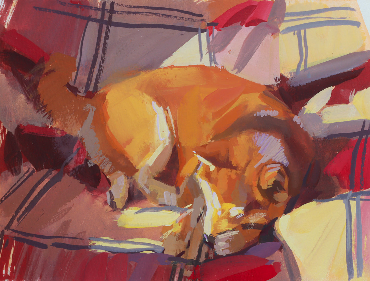 Afternoon nap