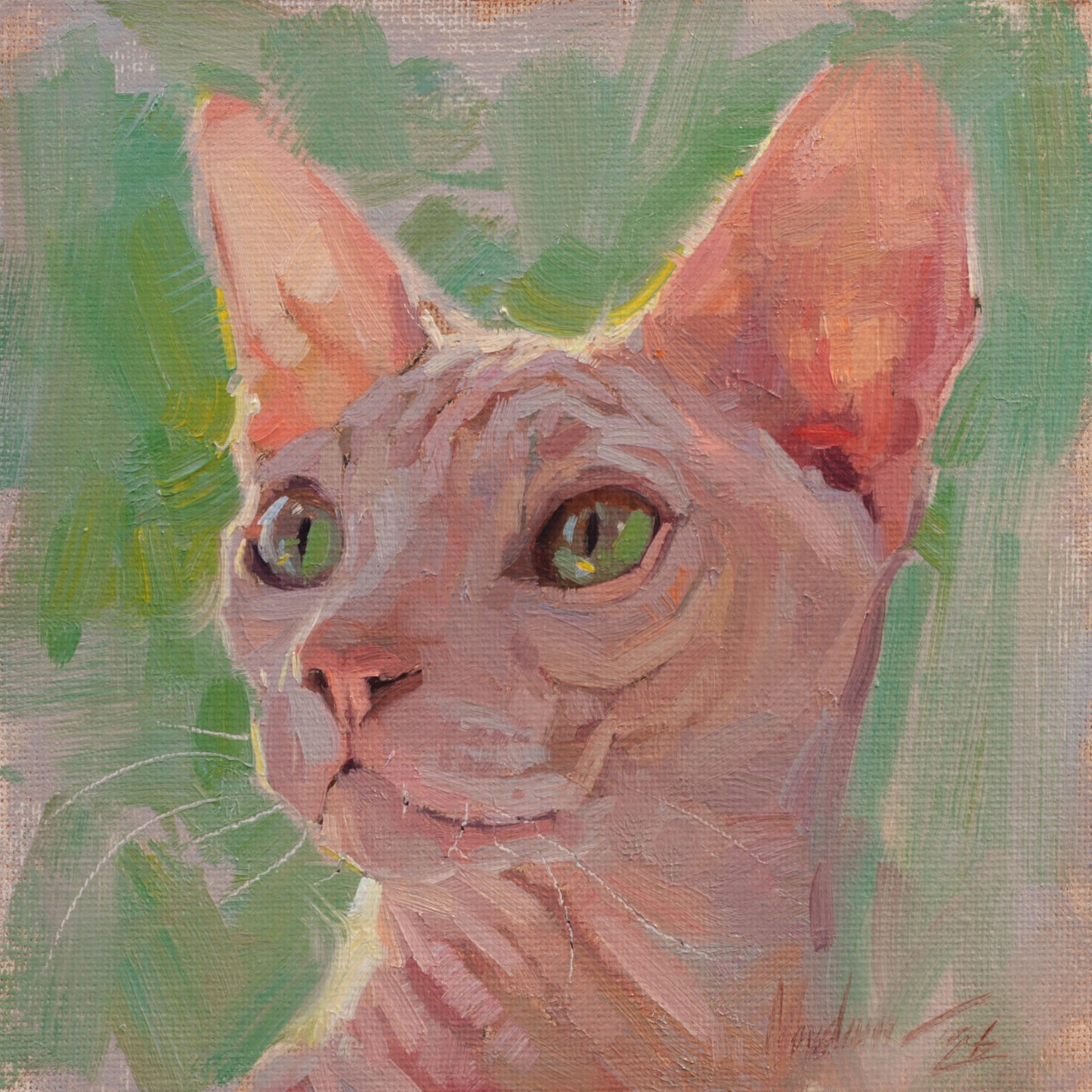 Sphynx