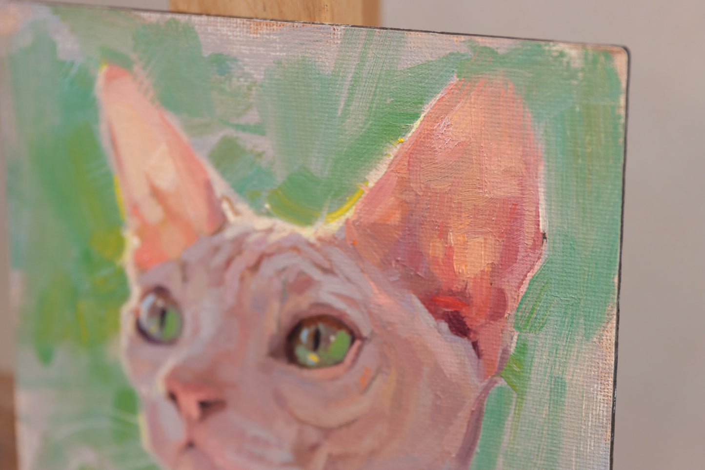 Sphynx