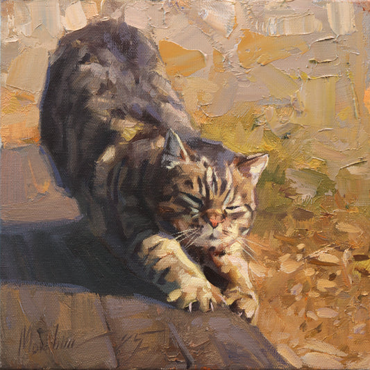 Oil painting of a tabby cat stretching in warm sunlight, with eyes closed and front paws extended. The artwork features expressive brushstrokes and rich textures in tones of gold, brown, and ochre. Canvas size is 6x6 inches.