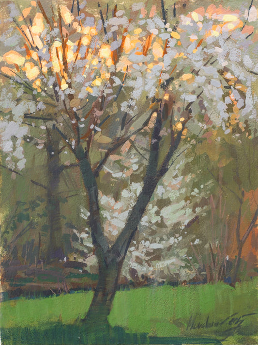 Gouache plein air painting of a blooming tree in spring