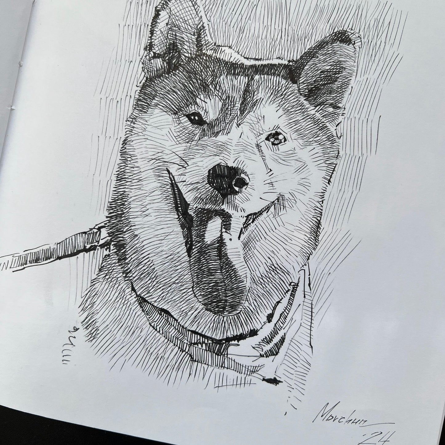 Custom ink drawing of a pet – detailed black-and-white portrait illustration