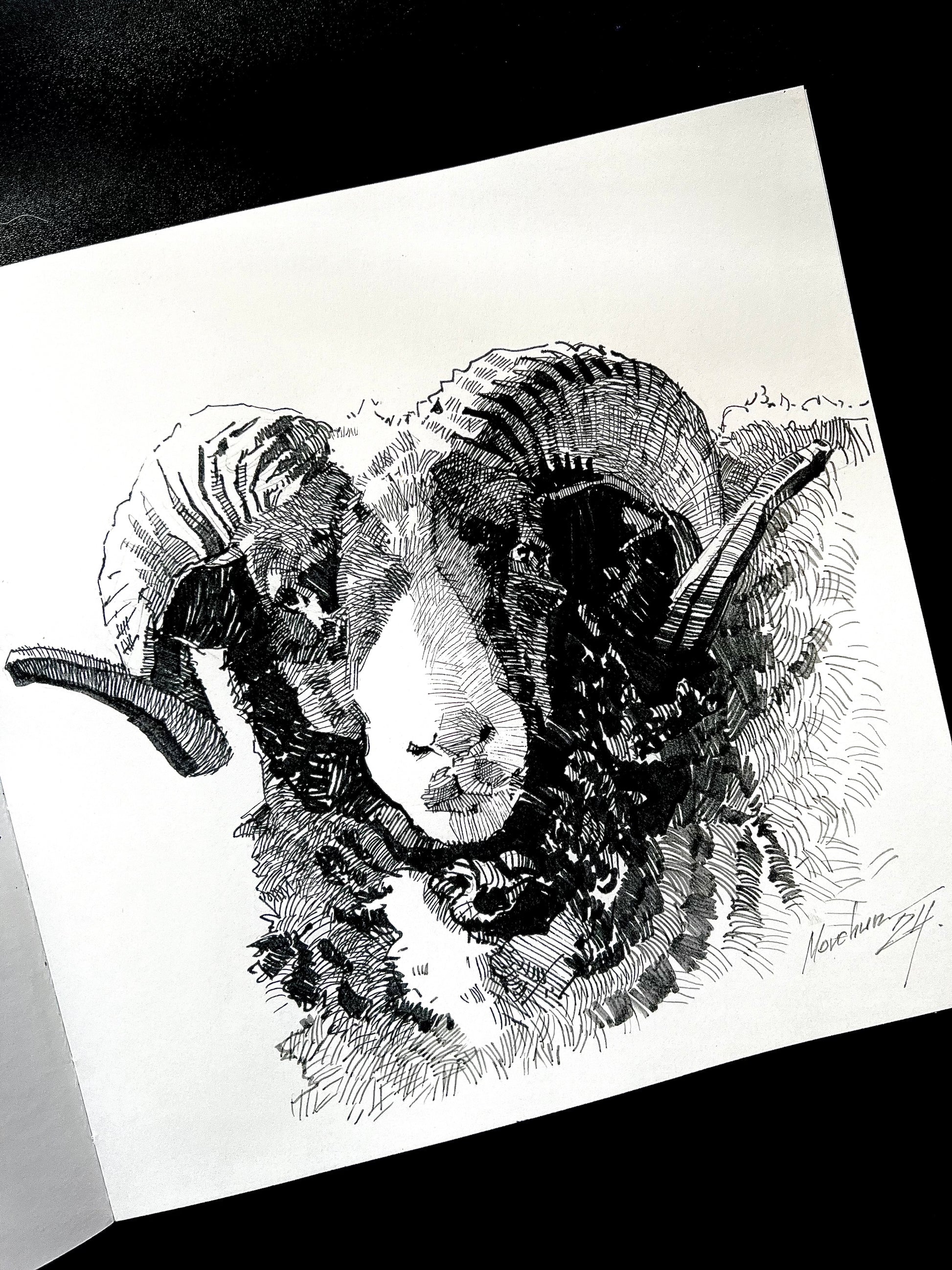 Custom ink drawing of a pet – detailed black-and-white portrait illustration